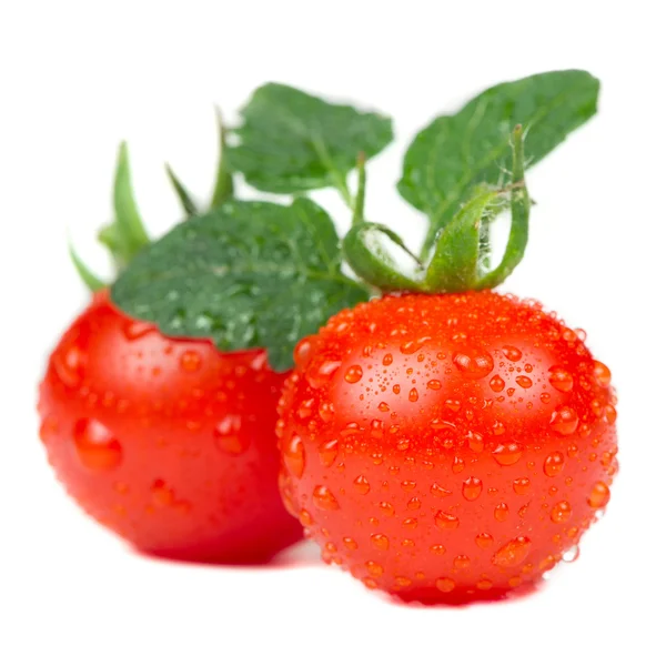 흰 배경에 고립된 버찌 토마토 — 스톡 사진
