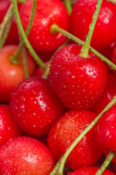 Red Cherries with Water Drops Close-Up — Stock Photo, Image