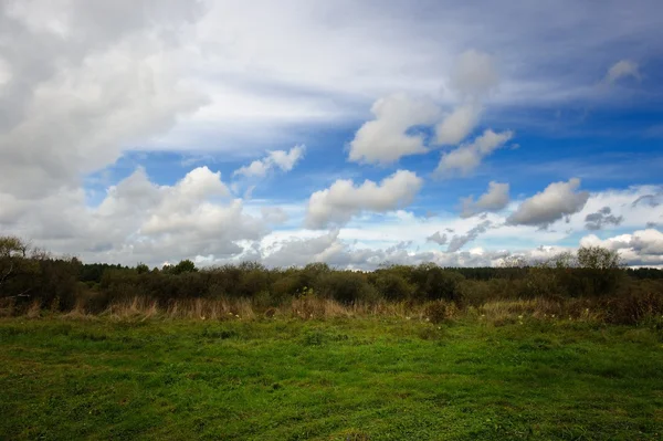 Welkendes Gras und bewölkter Himmel im Frühherbst — Stockfoto