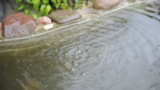 Goteo de agua del alero del tejado en el estanque — Vídeos de Stock