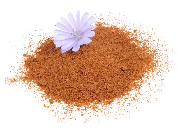 Chicory instantânea e flor de chicória isolado em fundo branco — Fotografia de Stock