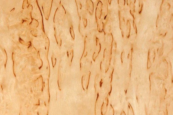 Textura de madera de abedul de Karelian —  Fotos de Stock