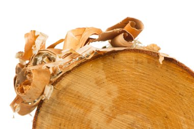 Huş kabuğu günlüğüyle beyaz arka plan üzerinde peeling