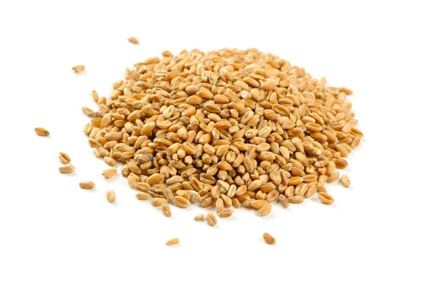 Зерна пшеницы изолированы на белом фоне — стоковое фото