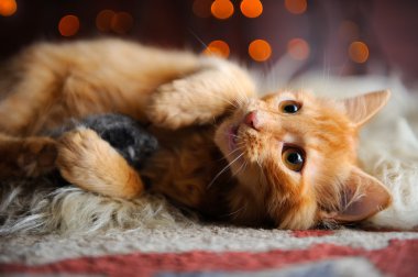 Cute Fluffy Red Kitten Playing with Toy Mouse clipart