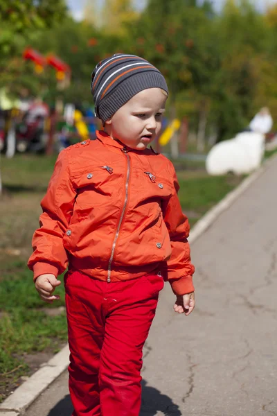 Tvåårig pojke promenader i parken — Stockfoto