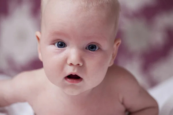 Cute three month old baby boy — Stock Photo, Image