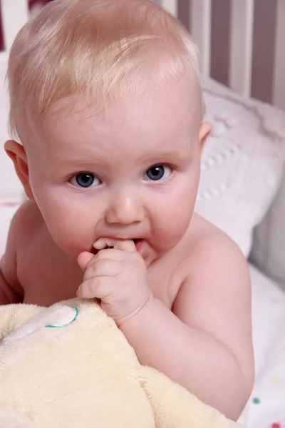 Six month old baby boy — Stock Photo, Image