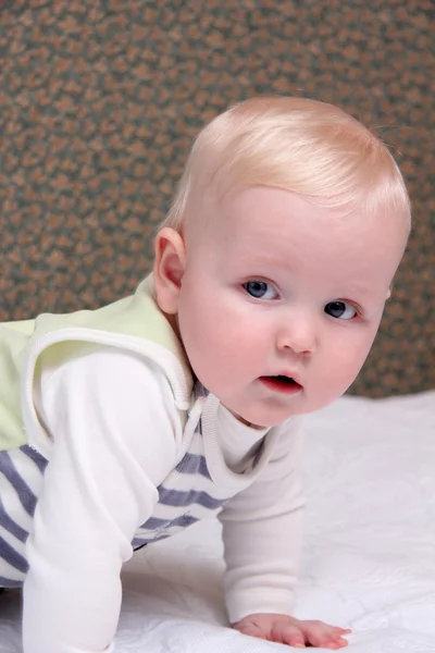 생후 6 개월된 사내 아기 — 스톡 사진