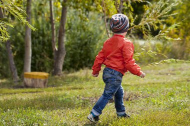 Küçük çocuk sonbahar parkta oyun oynarken