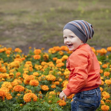 Küçük çocuk sonbahar parkta oyun oynarken