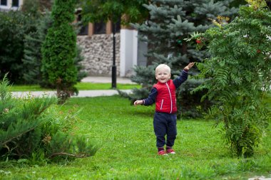 Sarışın bebek çocuk sonbahar sokak Park