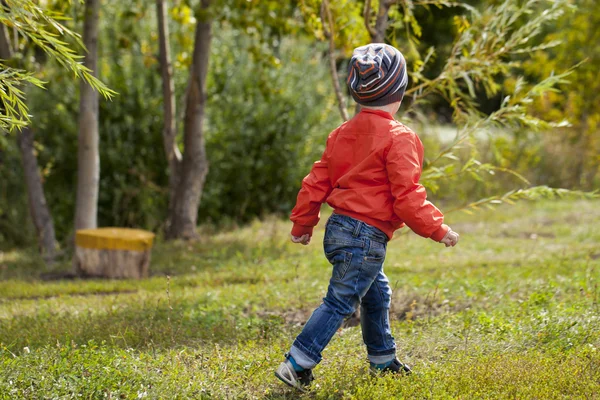 Küçük çocuk sonbahar parkta oyun oynarken