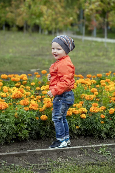 Kleiner Junge spielt auf dem Spielplatz im Herbstpark — Stockfoto