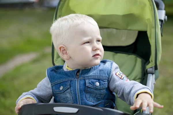 Мальчик сидит в коляске и гуляет в летнем парке. — стоковое фото