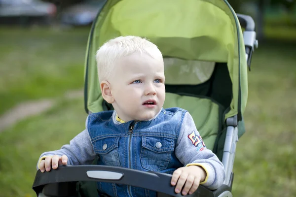 Liten pojke sitter i vagnen går i en sommar park — Stockfoto