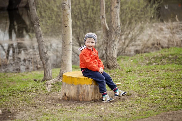 Küçük çocuk bir güdük bahar parkta oturan — Stok fotoğraf