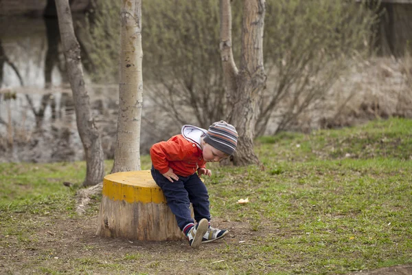 Little boy sitting on a stump in the spring park — Stock Photo, Image