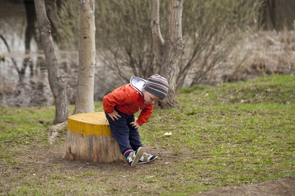 Küçük çocuk bir güdük bahar parkta oturan — Stok fotoğraf