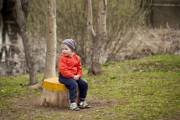 Mały chłopiec siedzi na pniu w parku wiosny — Zdjęcie stockowe