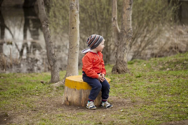 Little boy sitting on a stump in the spring park — Stock Photo, Image