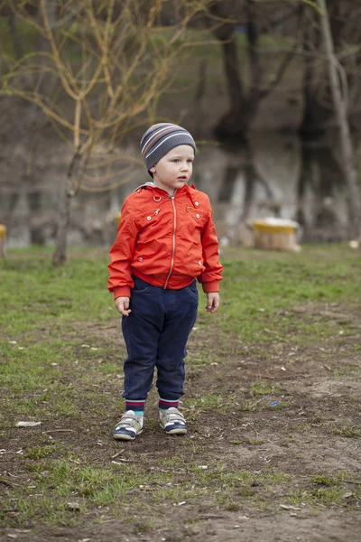 Le jeune garçon de trois ans marchant dans le parc du printemps — Photo