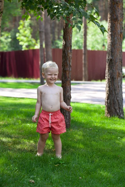 Retrato de um menino de dois anos — Fotografia de Stock