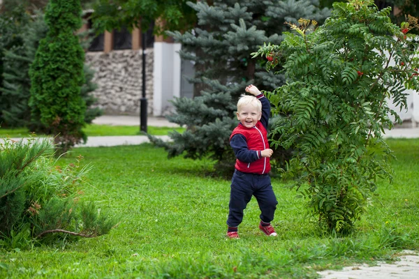 Blonde baby boy in autumn street park — Stock Photo, Image