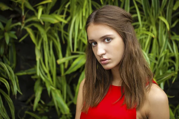 Portret close up van jonge mooie brunette vrouw — Stockfoto