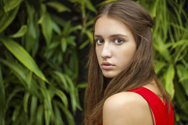 Retrato de cerca de la joven hermosa morena —  Fotos de Stock