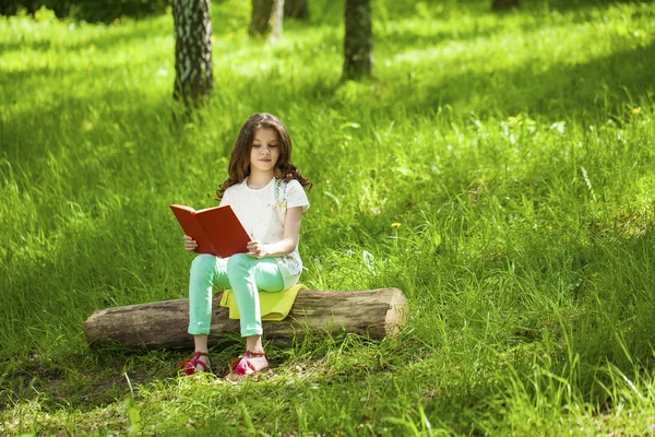 Encantadora niña en el bosque con libro sentado en el tocón del árbol — Foto de Stock