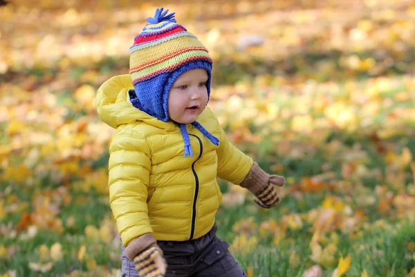 Babyjongen in herfst park — Stockfoto