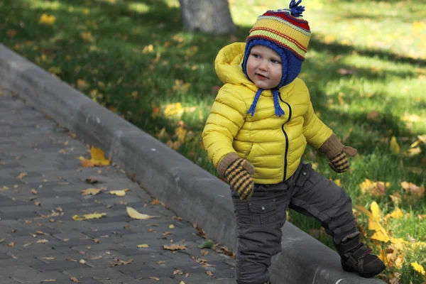秋天的公园中的男婴 — 图库照片