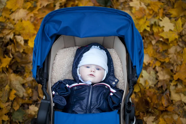 Little boy with baby carriage in autumn park — Stock Photo, Image