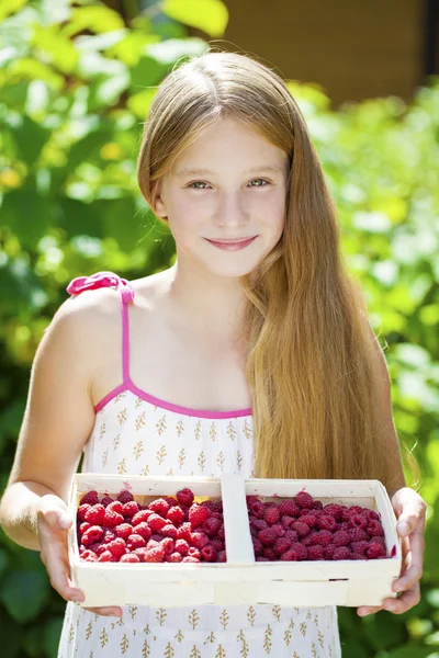 Beautiful girl holding a box with a raspberry — Stock Photo, Image