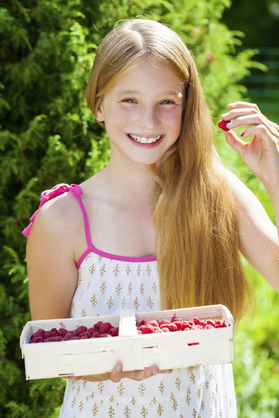 Beautiful girl holding a box with a raspberry — Stock Photo, Image