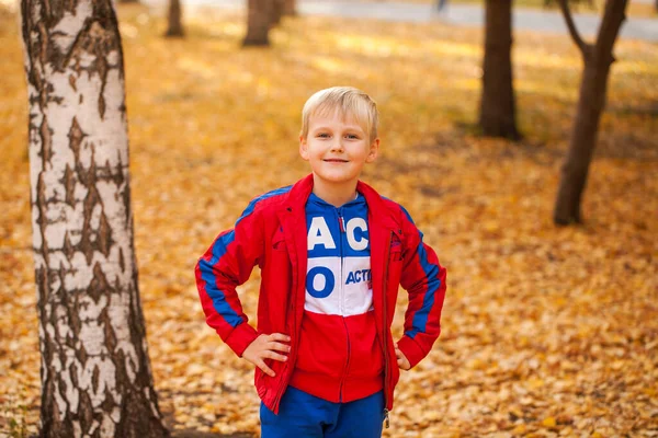 Retrato Niño Pequeño Chándal Rojo Posando Sobre Fondo Parque Otoño —  Fotos de Stock