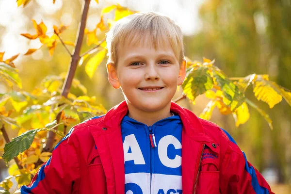 Porträtt Liten Pojke Röd Träningsoverall Poserar Mot Bakgrund Höstpark — Stockfoto