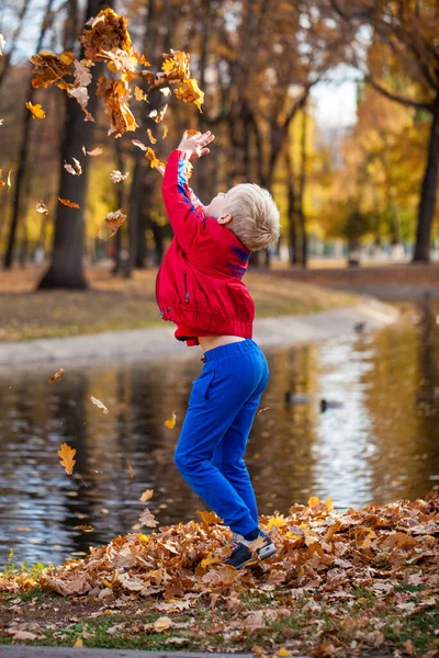 Retrato Menino Traje Vermelho Posando Contra Fundo Parque Outono — Fotografia de Stock