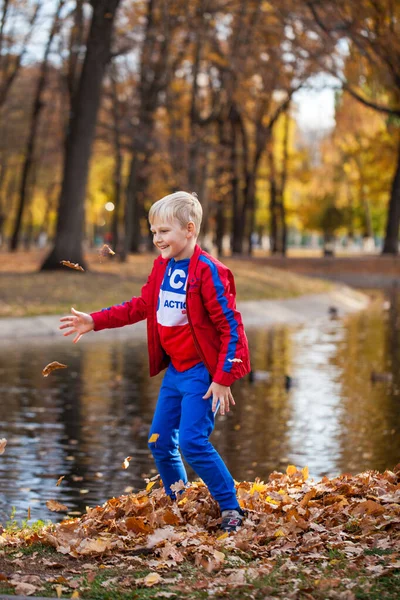 Portret Małego Chłopca Czerwonym Dresie Pozującego Tle Jesiennego Parku — Zdjęcie stockowe