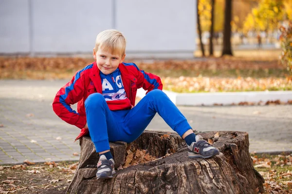 一个穿着红色运动服的小男孩在秋天公园的背景下的画像 — 图库照片