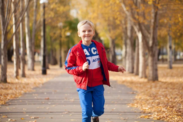 Retrato Niño Pequeño Chándal Rojo Posando Sobre Fondo Parque Otoño —  Fotos de Stock