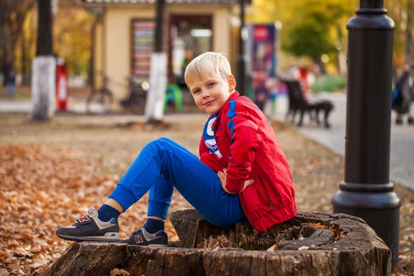 Портрет Маленького Хлопчика Червоному Костюмі Позує Тлі Осіннього Парку — стокове фото