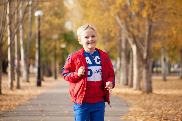 Portrét Malého Chlapce Červené Teplákové Soupravě Pózujícího Pozadí Podzimního Parku — Stock fotografie