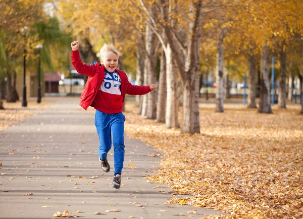 Portrait Little Boy Red Tracksuit Posing Background Autumn Park — Stock Photo, Image