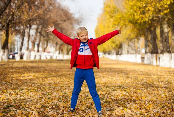 Portrait Little Boy Red Tracksuit Posing Background Autumn Park — Stock Photo, Image