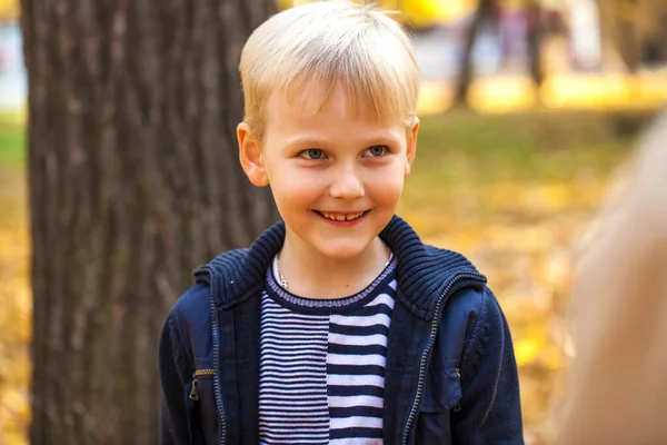 Portrait Little Boy Autumn Park — Stock Photo, Image