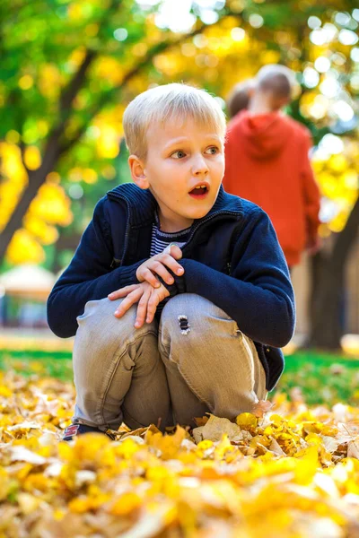 Retrato Menino Parque Outono — Fotografia de Stock