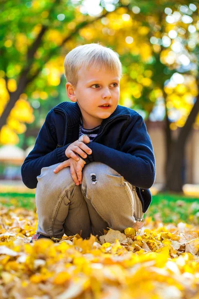 Πορτρέτο Ενός Μικρού Αγοριού Στο Πάρκο Του Φθινοπώρου — Φωτογραφία Αρχείου