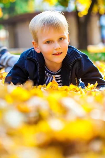 Portret Małego Chłopca Jesiennym Parku — Zdjęcie stockowe